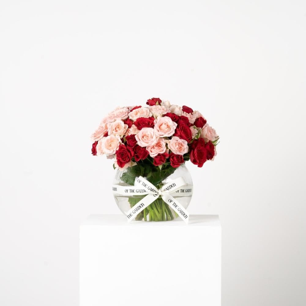 Vase Faza Byby Jwry