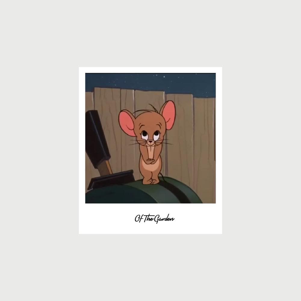 Jerry Card