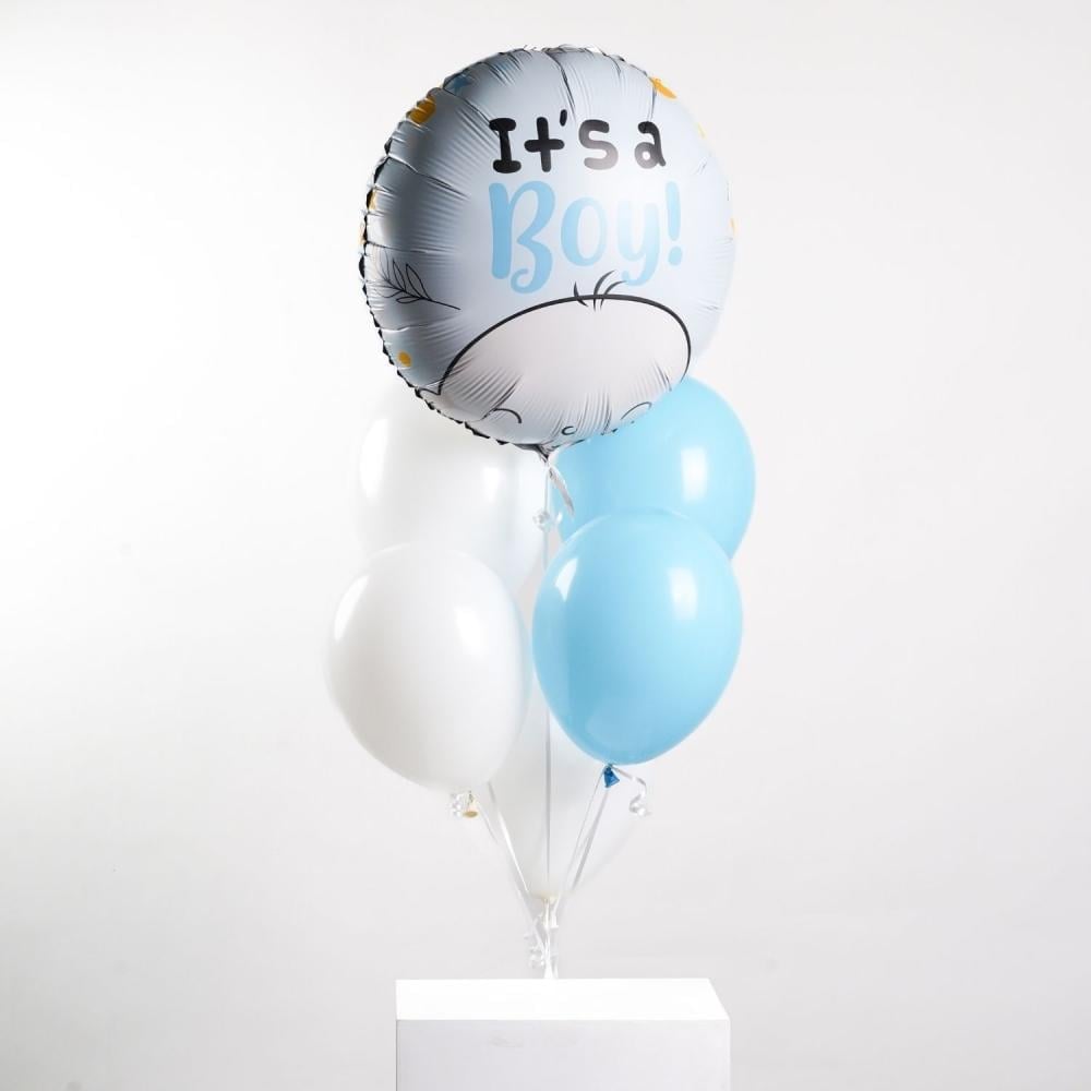 Baby Blue Balloon Set