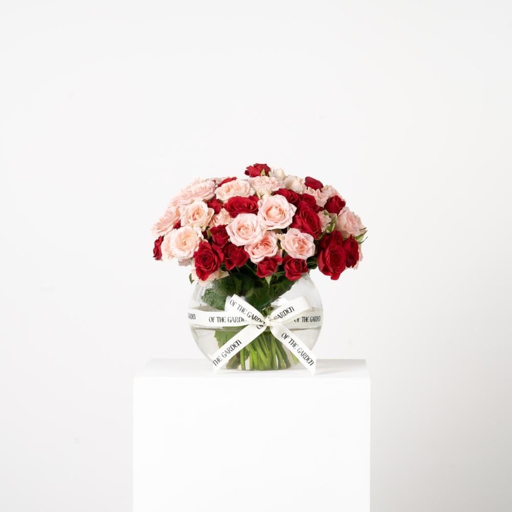 Vase Faza Byby Jwry