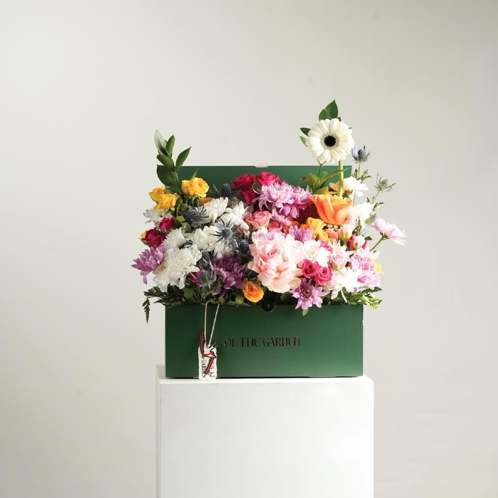 Box Roses